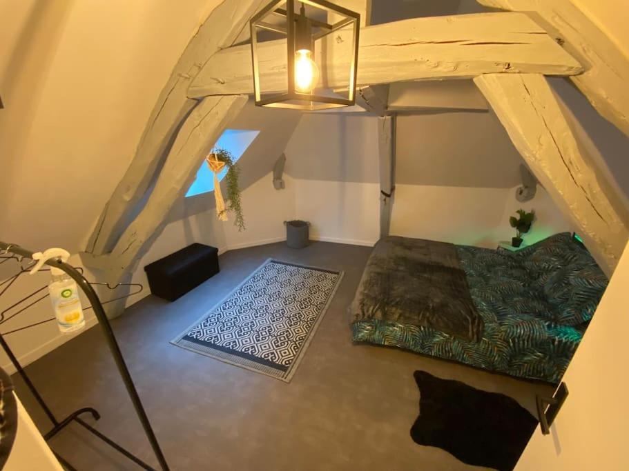 Super Appartement T3 Proche Gare Sens Zewnętrze zdjęcie