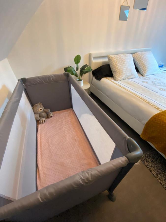 Super Appartement T3 Proche Gare Sens Zewnętrze zdjęcie